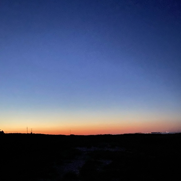 Meet your Posher, Frannie - Picture 1 of 1